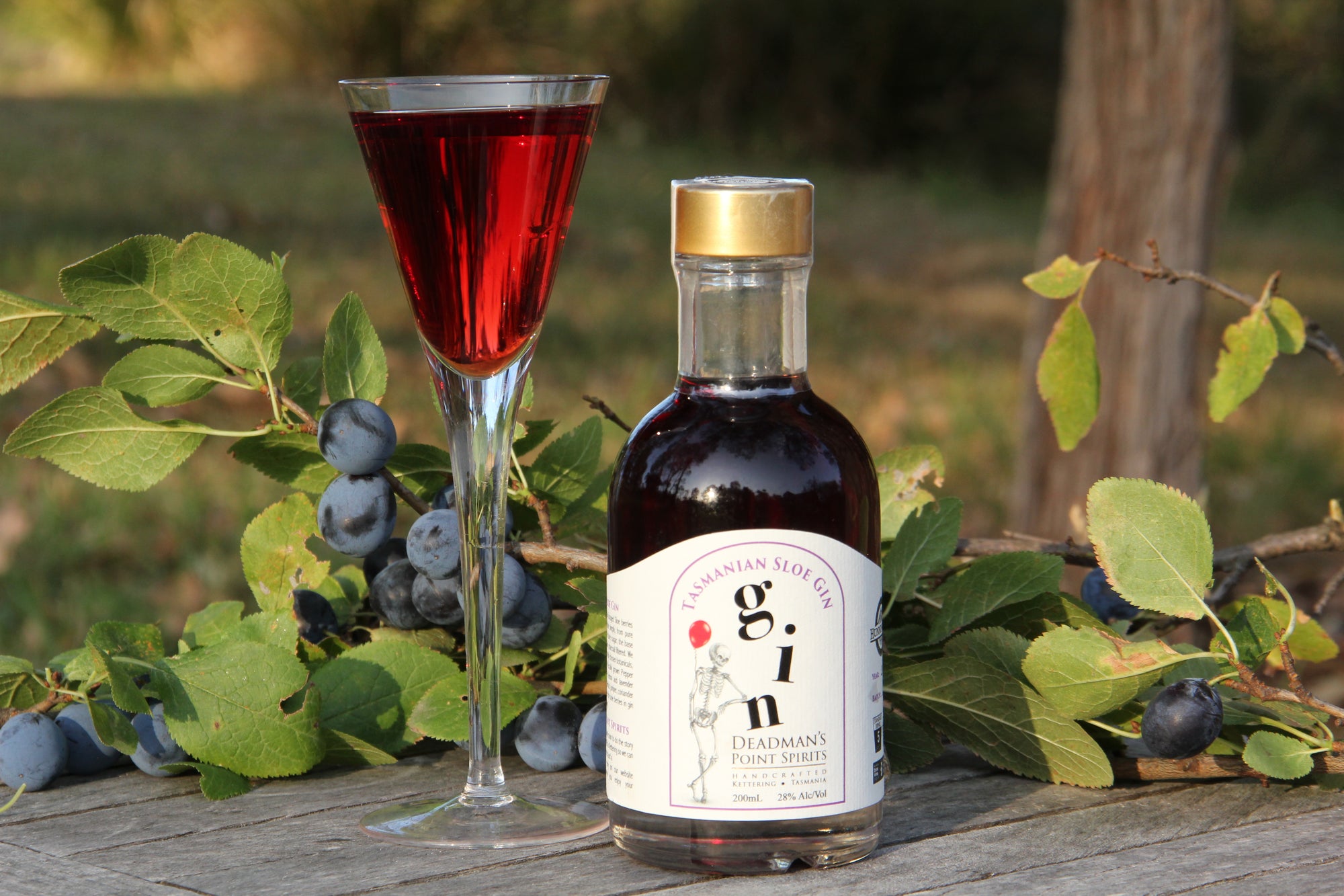 Tasmanian Sloe Gin