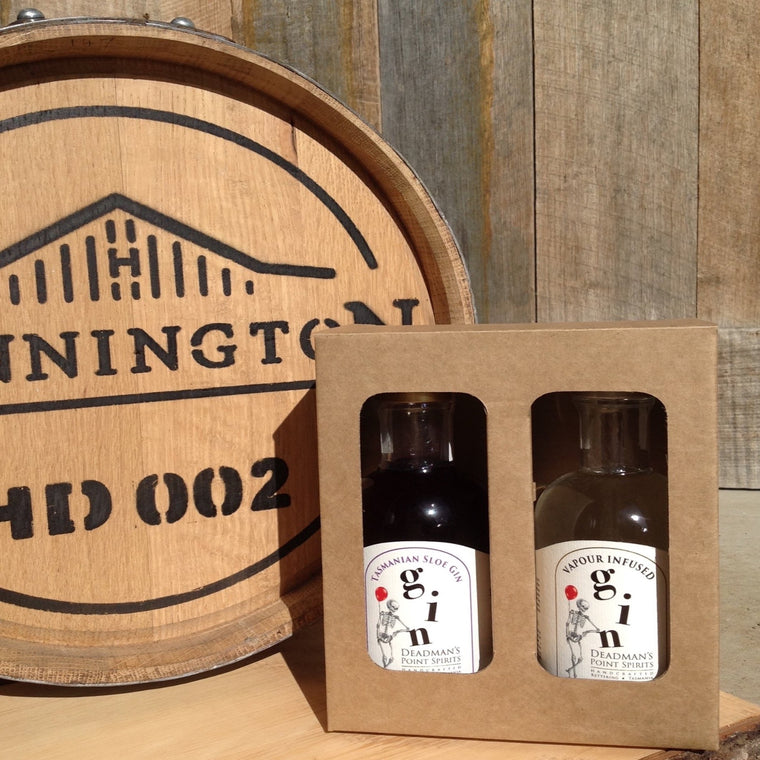 Sloe & Vapour Infused Gin Twin Pack